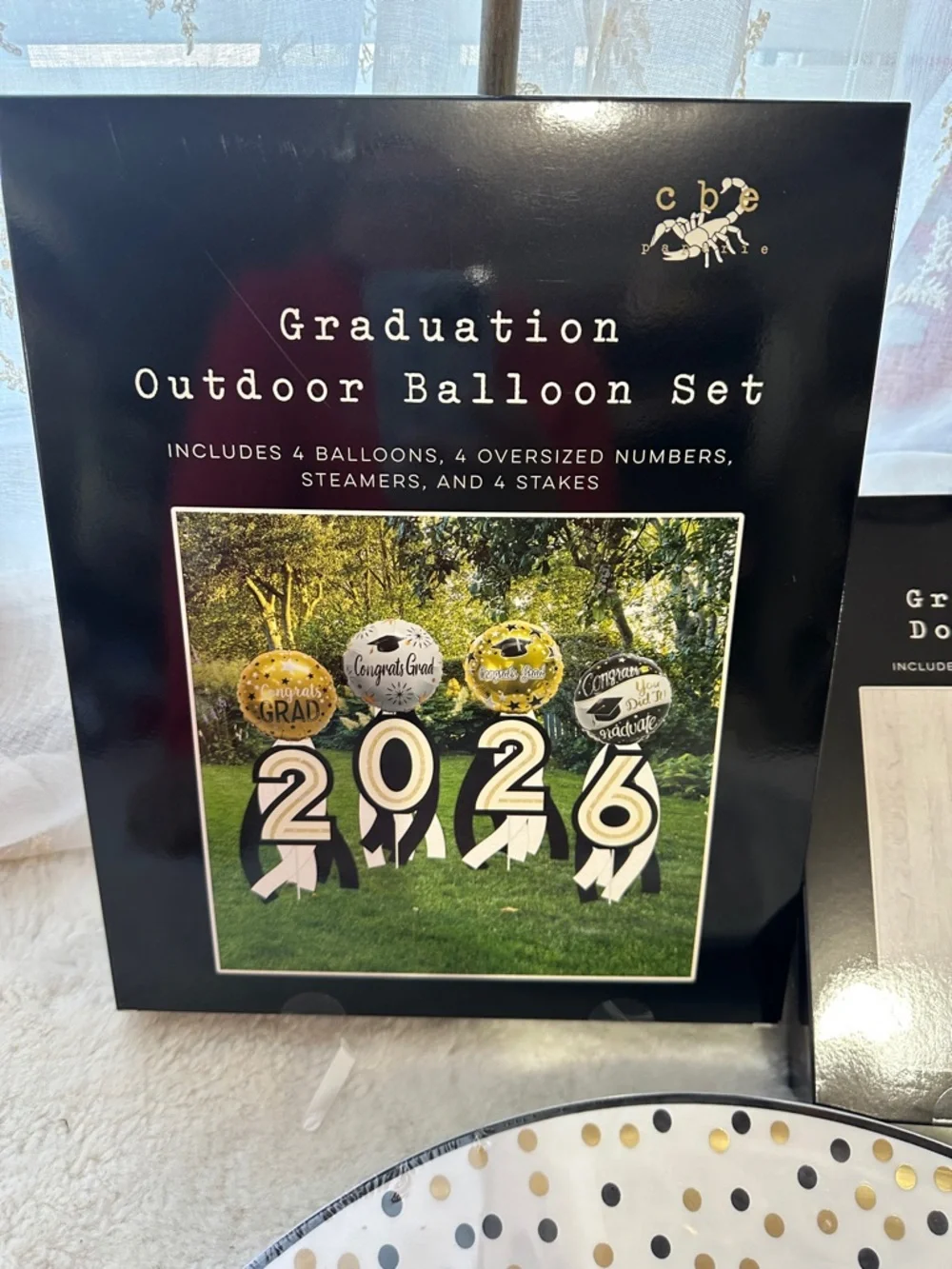 Graduation bundle outdoor balloon set, door cover, and 16” platters